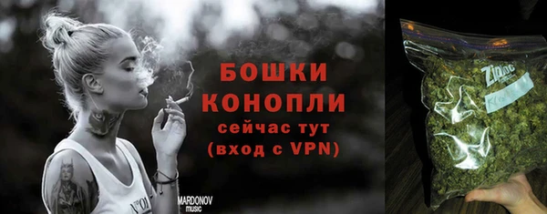 винт Лагань