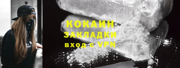 винт Лагань