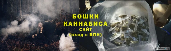 спайс Ладушкин