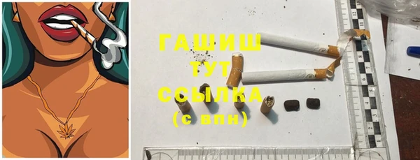 винт Лагань