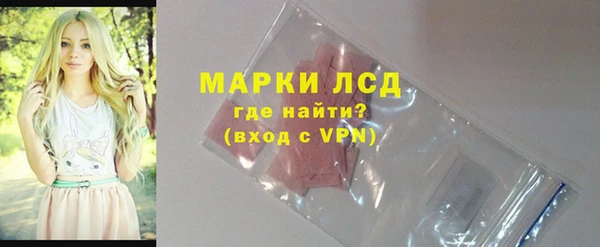 спайс Ладушкин