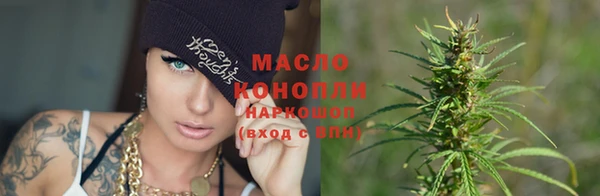 винт Лагань