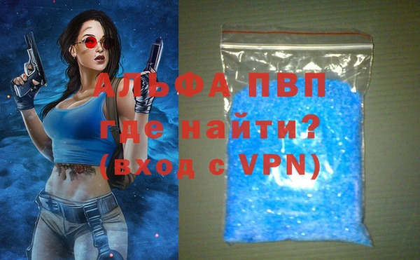 винт Лагань
