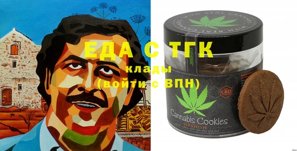винт Лагань