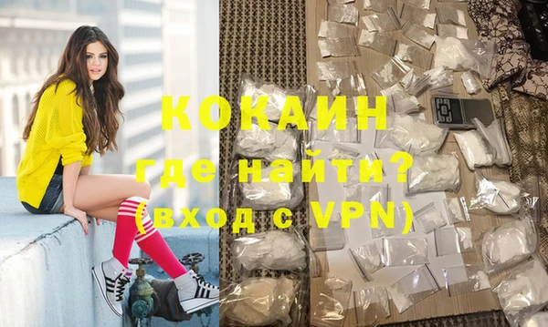 спайс Ладушкин