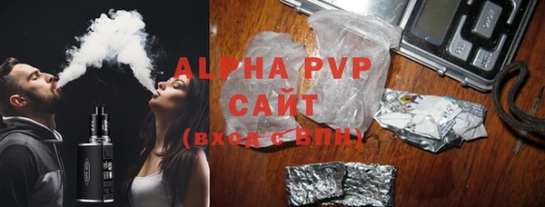 спайс Ладушкин